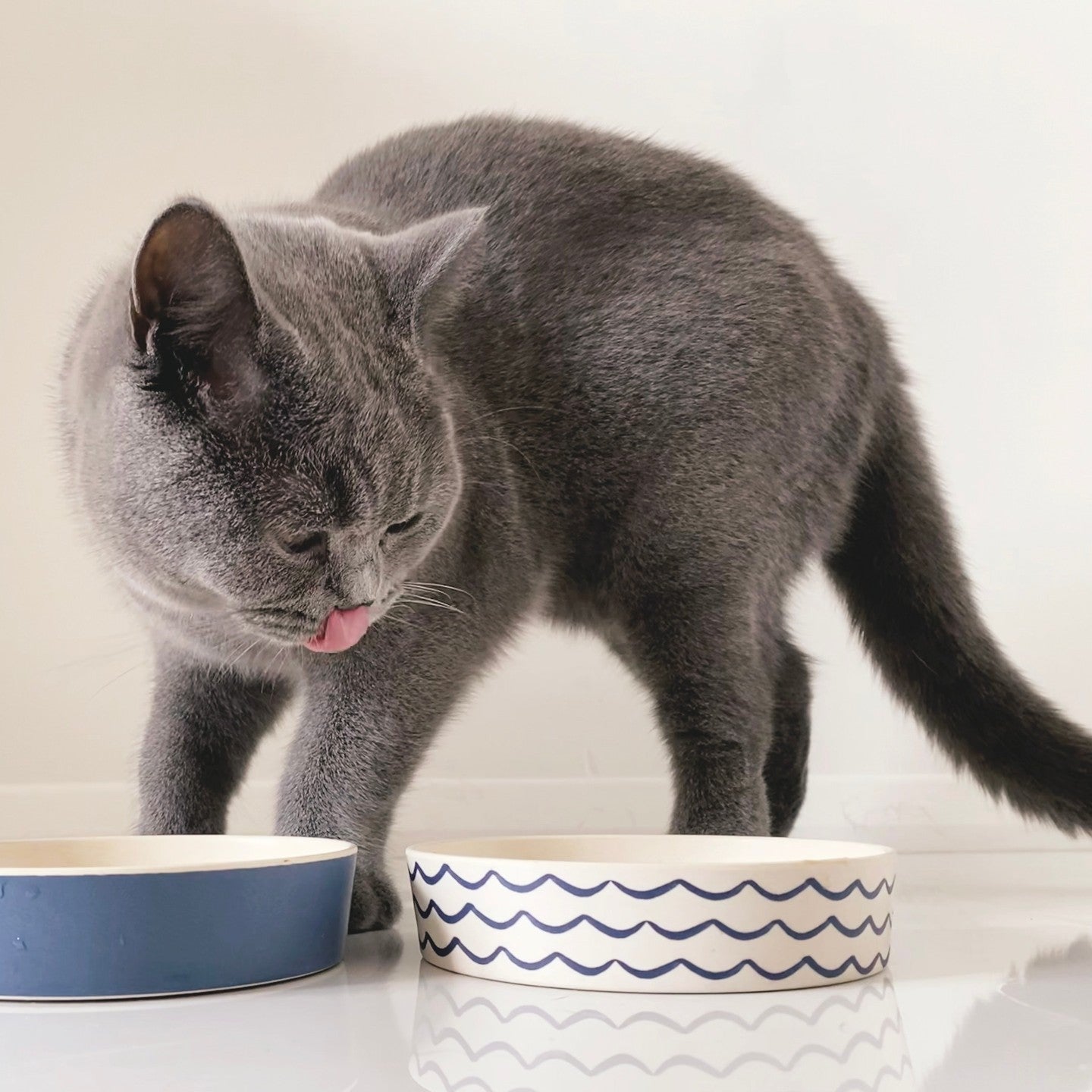 Patterned Bamboo Cat Bowls - 4 Styles