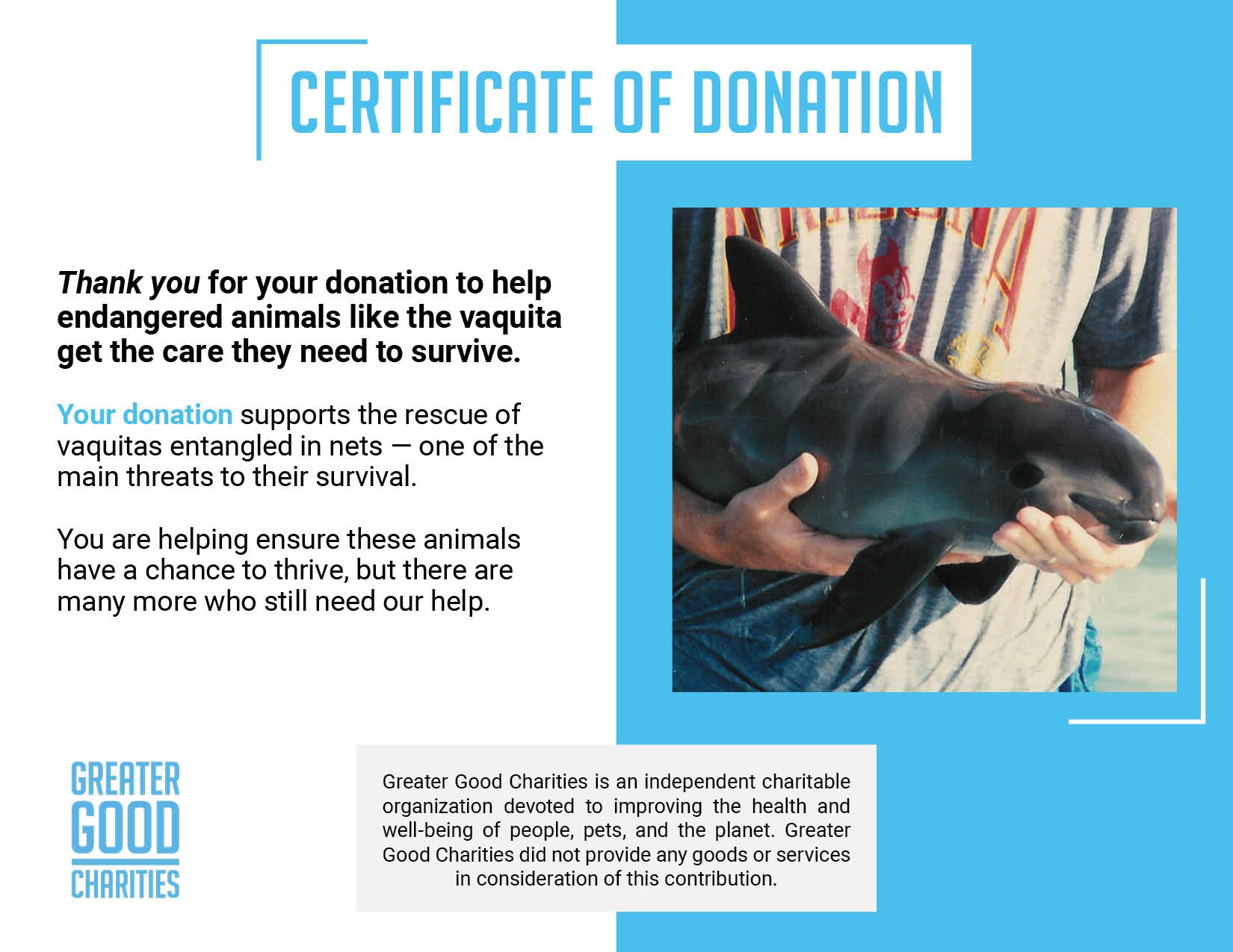 Rescue Critically Endangered Porpoises From Fishing Net Entanglements