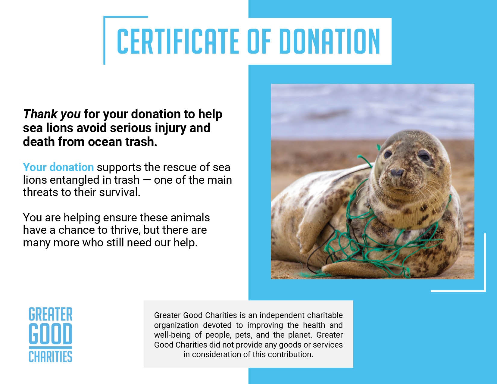 Save Seals & Other Marine Life From Ocean Trash and Pollution