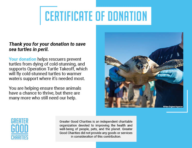 Certificate of donation for saving sea turtles with a photo of a turtle being held by a person in blue gloves.