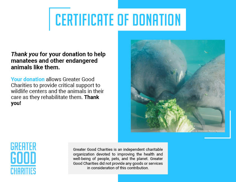 Help Save Rehabilitated Manatees