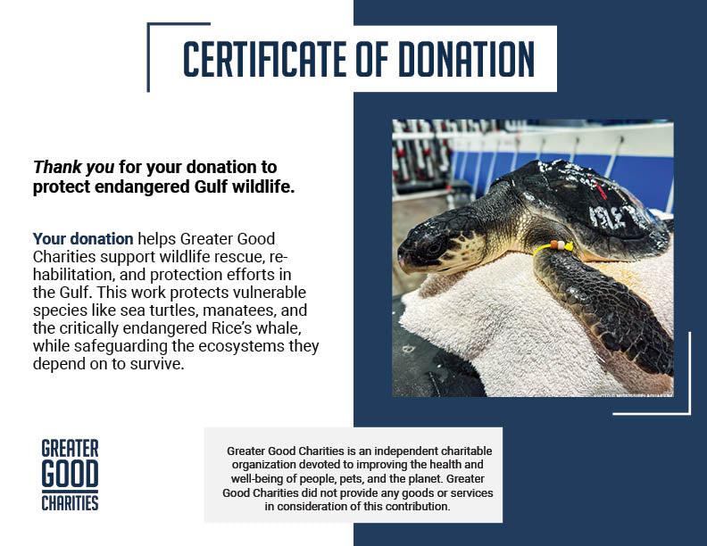 Federal Protections Gutted - Critically Endangered Species At Risk