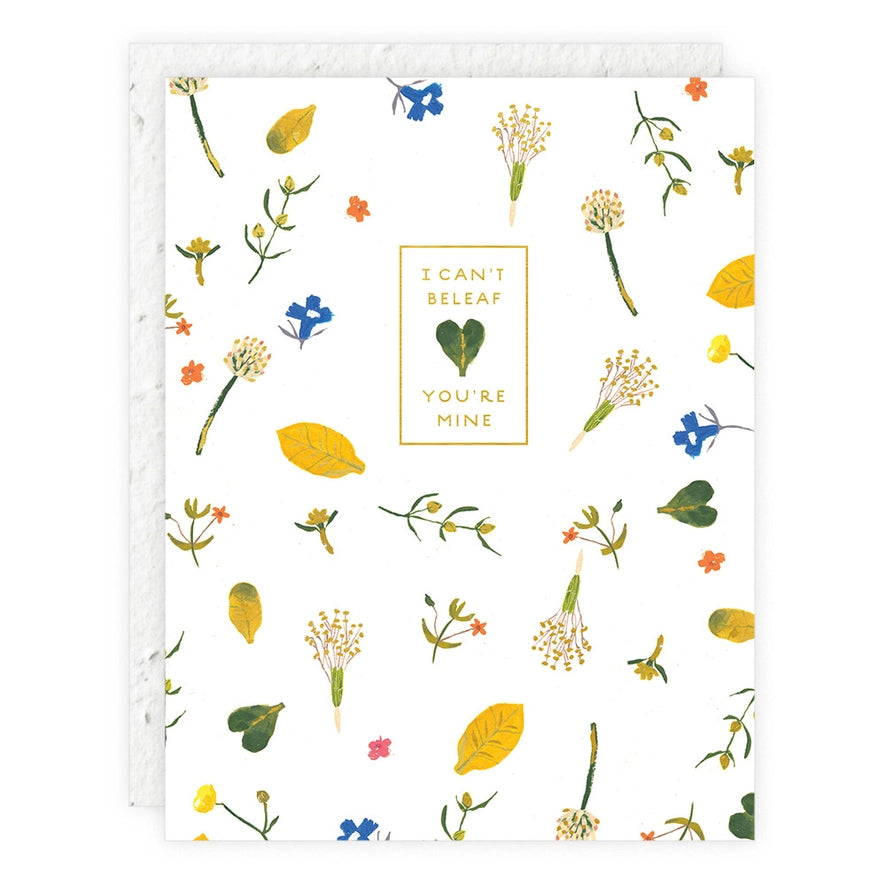 Seedling Cards - Grow Wildflowers
