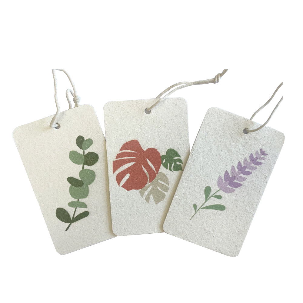 Compostable Eco Sponge - Set of 3