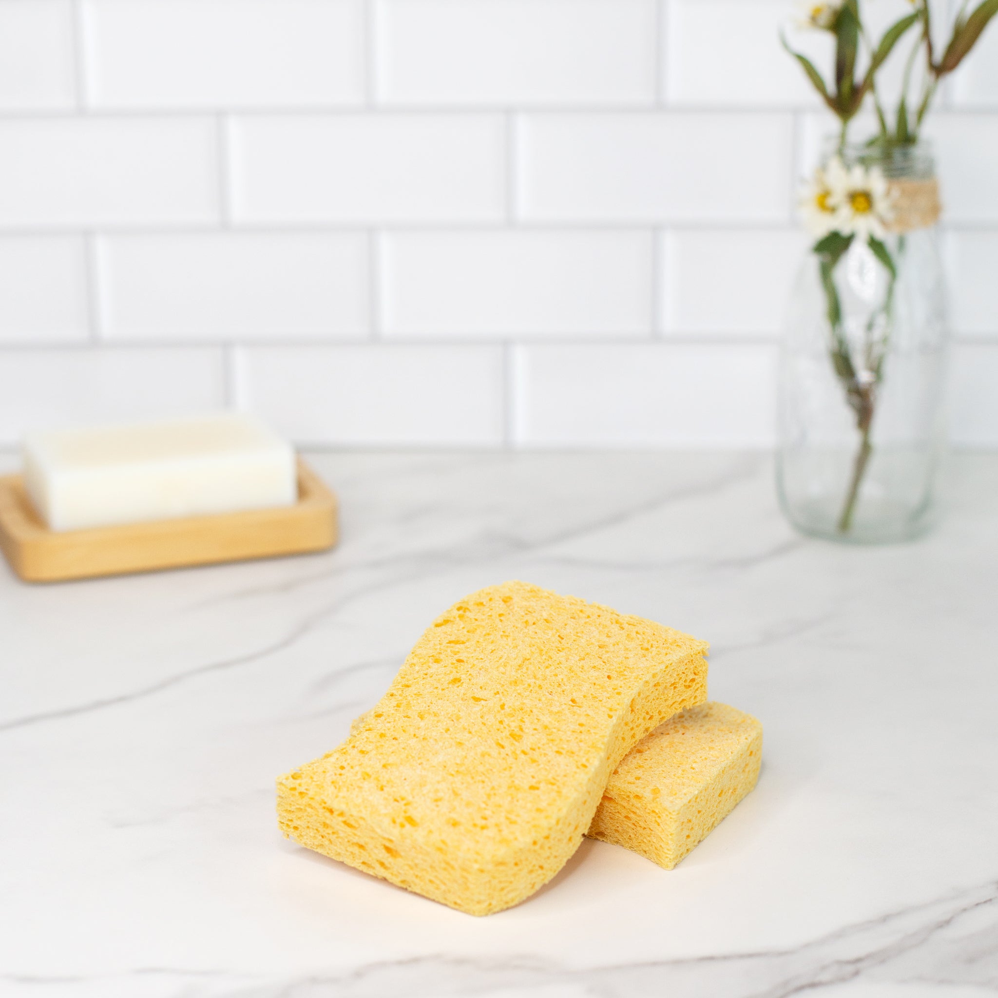 Eco Friendly Natural Kitchen Sponges, Free The Ocean