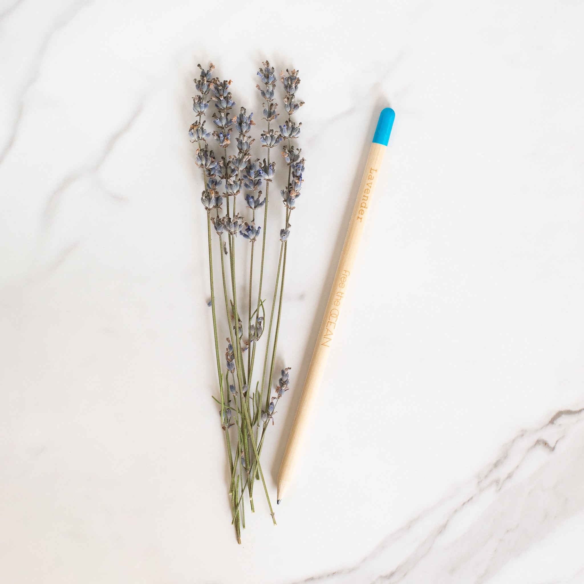 FTO Plantable Pencils