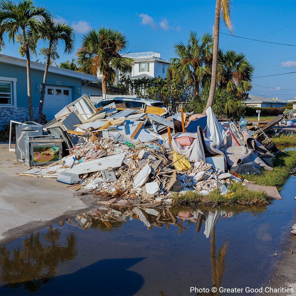 URGENT: Help Sea Birds Sickened and Injured By Hurricanes