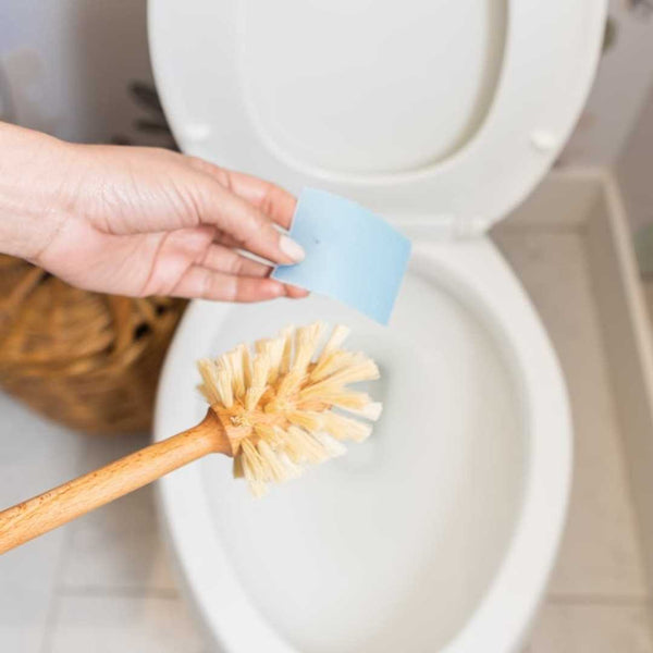 Environmentally Friendly Eco-Strips Toilet Cleaner | Free The Ocean