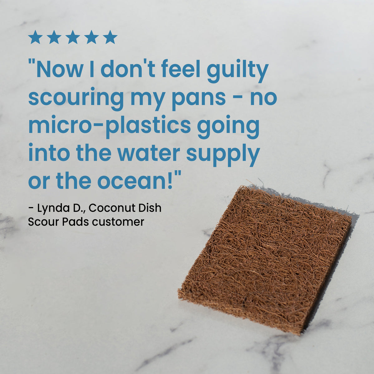 Eco Friendly Dish Scrubber | Coconut Dish Scour Pads | Free The Ocean