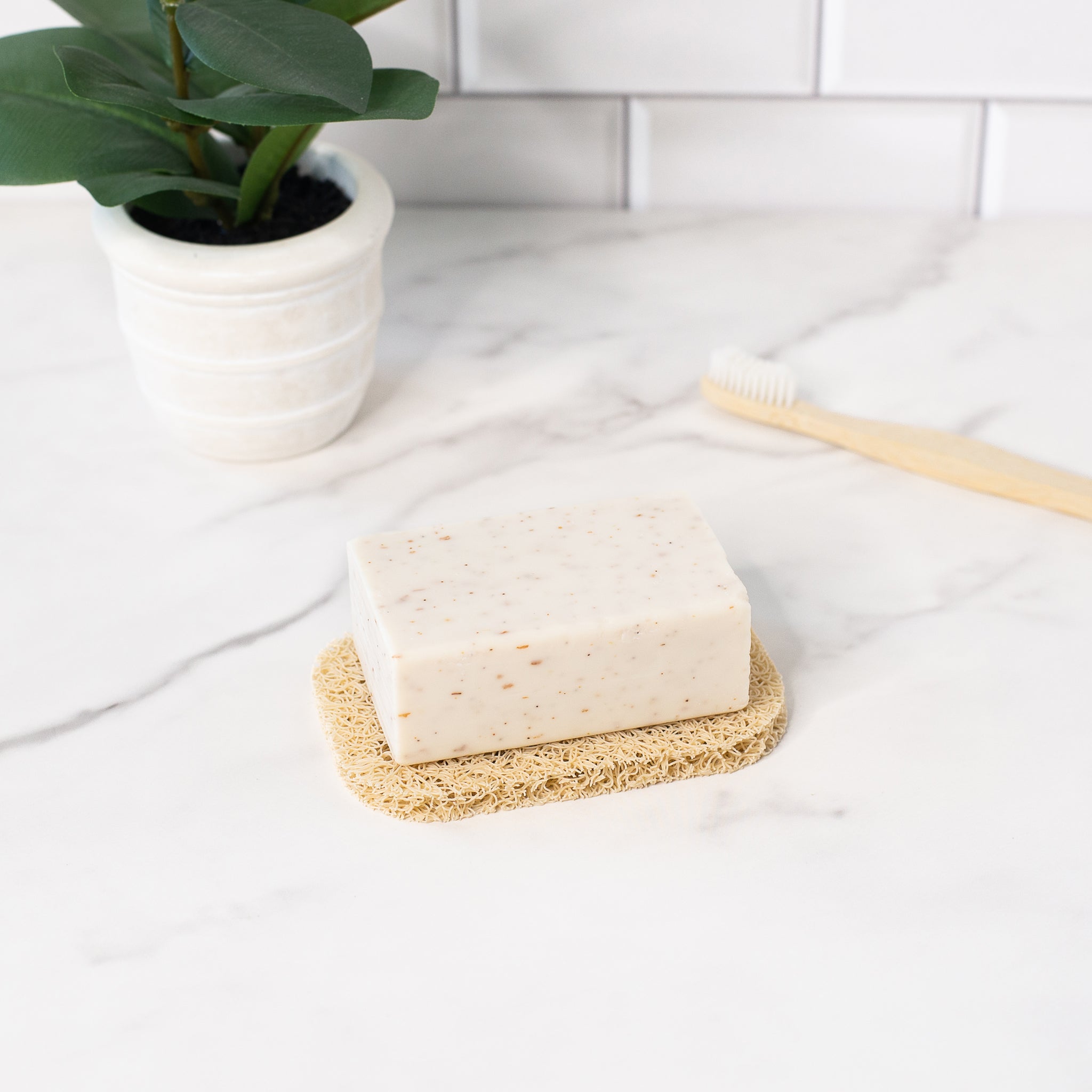 Sustainable and Eco-friendly Soap Rest | Free the Ocean | Free the Ocean